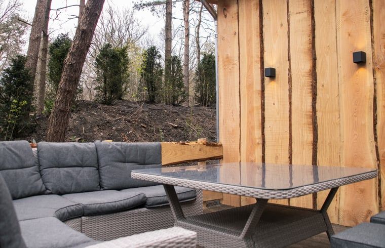 Vakantiehuisje in Uddel, Veluwe, met een comfortabele zithoek en gezellige sfeer.