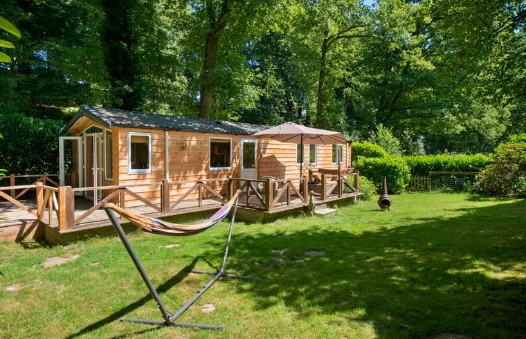 Unterkunft 323406 - Ferienhaus Veluwe - Vakantiehuisje in Rheden