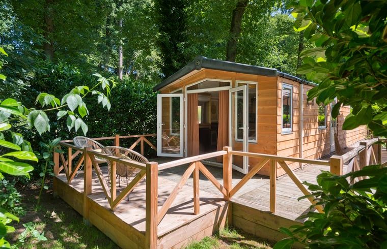 Unterkunft 323406 - Ferienhaus Veluwe - Vakantiehuisje in Rheden