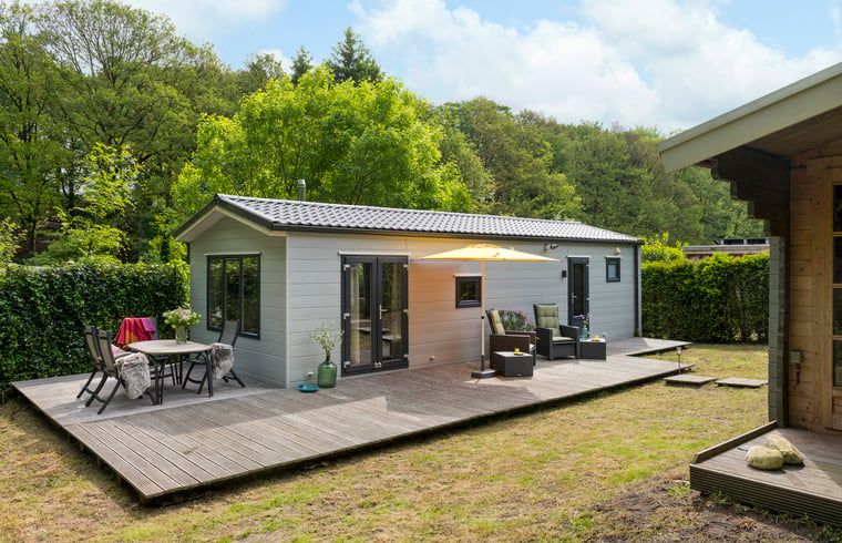 Vakantiehuis in Rheden met ruim terras omringd door groen in Veluwe, Gelderland.