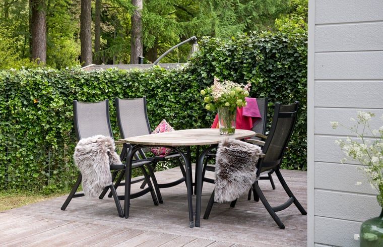 Terras met eettafel en stoelen bij Vakantiehuis in Rheden, Veluwe, Gelderland.