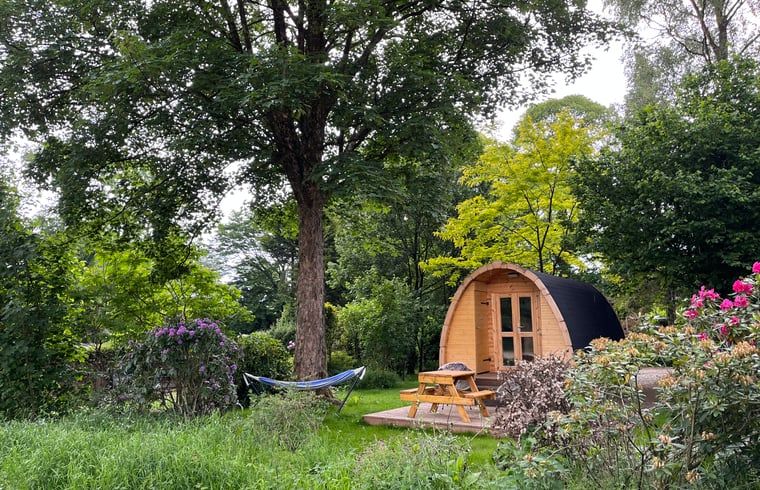 Unterkunft 323409 - Ferienhaus Veluwe - Vakantiehuisje in Rheden