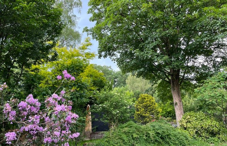Unterkunft 323409 - Ferienhaus Veluwe - Vakantiehuisje in Rheden