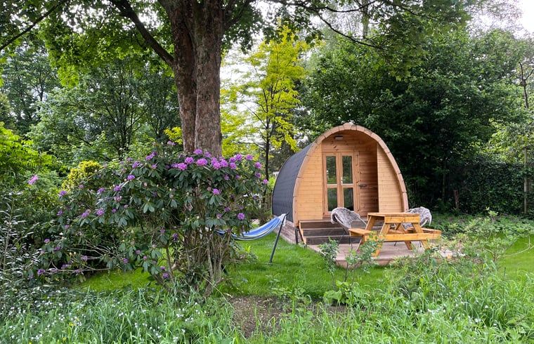 Unterkunft 323409 - Ferienhaus Veluwe - Vakantiehuisje in Rheden