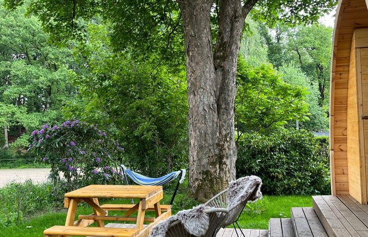 Unterkunft 323409 - Ferienhaus Veluwe - Vakantiehuisje in Rheden