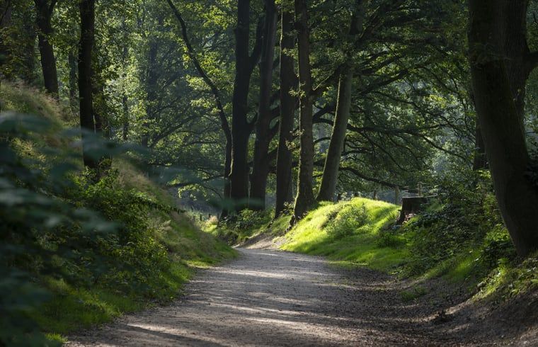 Unterkunft 323409 - Ferienhaus Veluwe - Vakantiehuisje in Rheden
