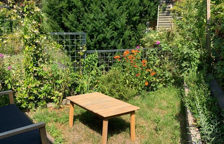 Unterkunft 323423 - Ferienhaus Veluwe - Huisje in Rheden