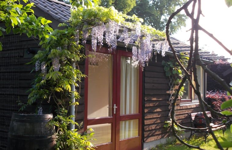 Unterkunft 323702 - Ferienhaus Veluwe - Vakantiehuisje in De Steeg