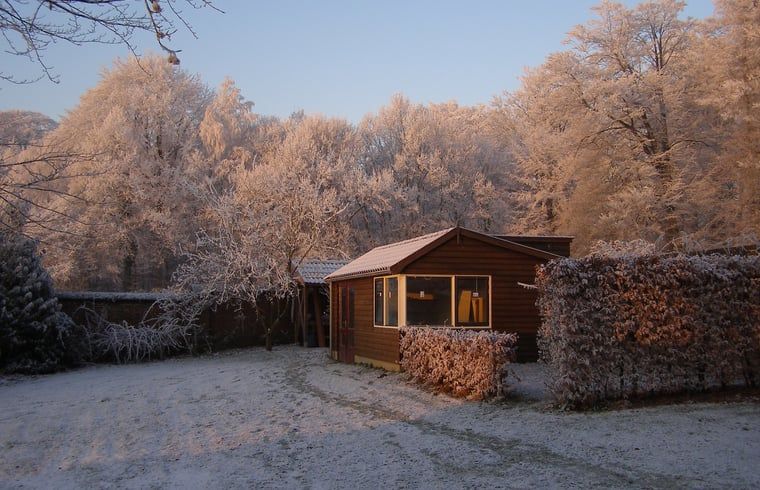 Unterkunft 323702 - Ferienhaus Veluwe - Vakantiehuisje in De Steeg