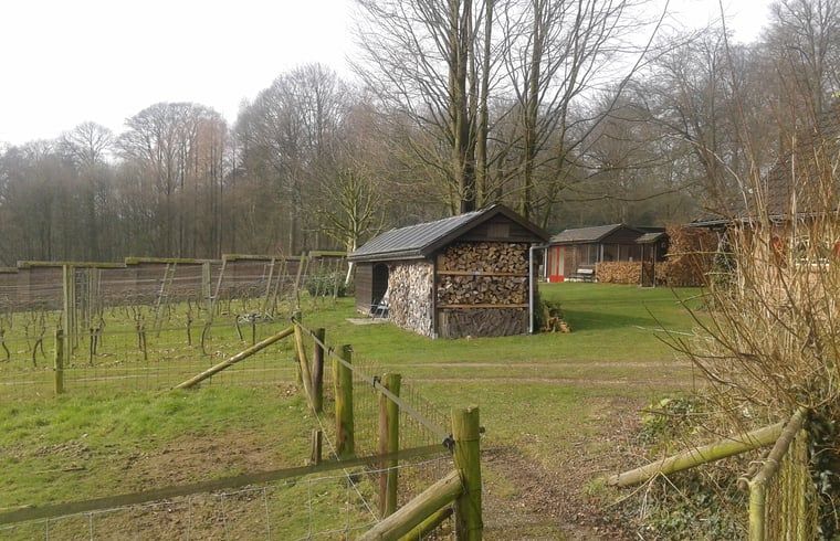 Unterkunft 323702 - Ferienhaus Veluwe - Vakantiehuisje in De Steeg