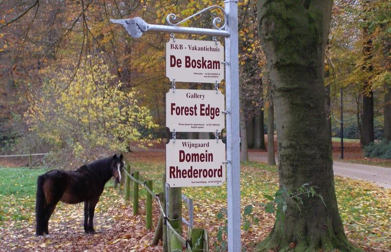 Unterkunft 323702 - Ferienhaus Veluwe - Vakantiehuisje in De Steeg