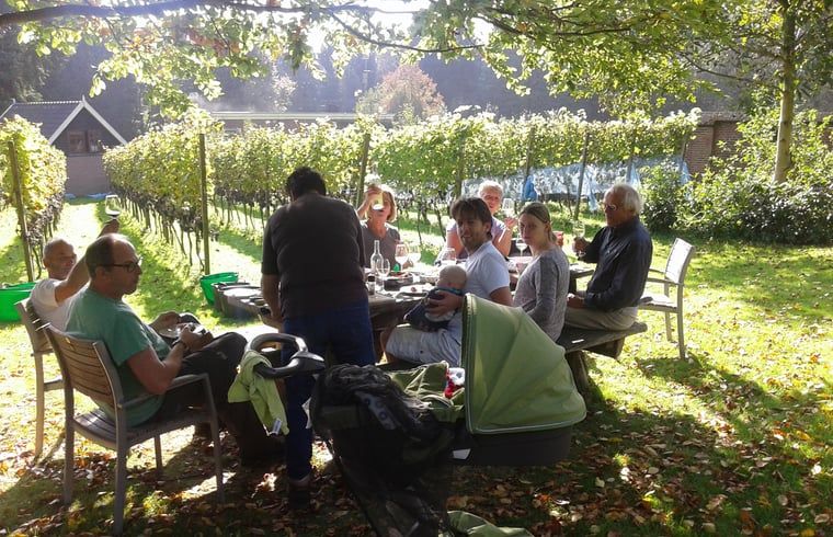 Unterkunft 323702 - Ferienhaus Veluwe - Vakantiehuisje in De Steeg