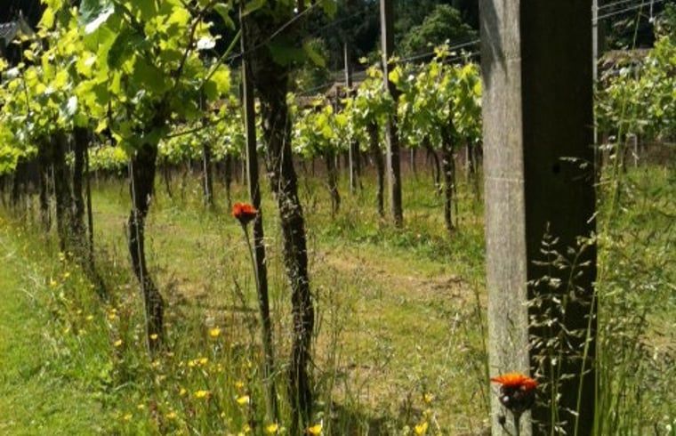 Unterkunft 323702 - Ferienhaus Veluwe - Vakantiehuisje in De Steeg