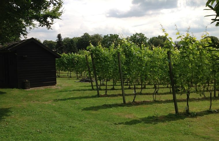 Unterkunft 323702 - Ferienhaus Veluwe - Vakantiehuisje in De Steeg