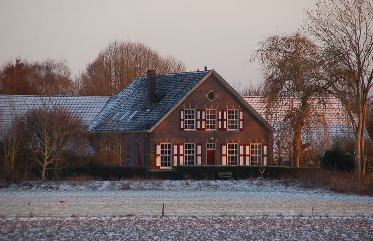 Gemuetlicher Garten im Ferienhaus in De Steeg, Veluwe, Gelderland.