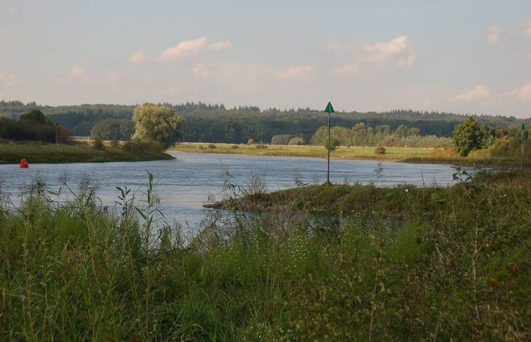 Bunter Blumengarten am Ferienhaus in De Steeg, Veluwe.