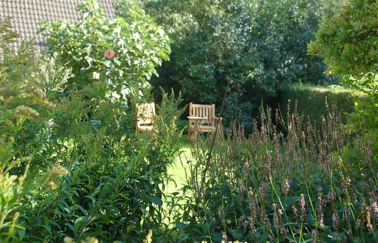 Unterkunft 323704 - Ferienhaus Veluwe - Vakantiehuis in De Steeg