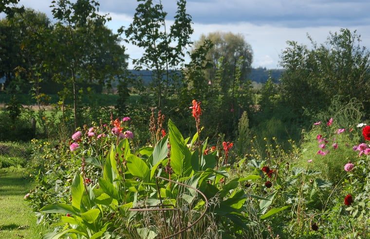 Unterkunft 323704 - Ferienhaus Veluwe - Vakantiehuis in De Steeg