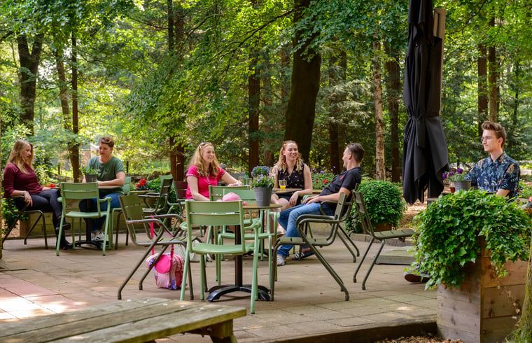 Gemuetliche Terrasse am Ferienhaus in Apeldoorn, umgeben von der schoenen Veluwe-Landschaft.