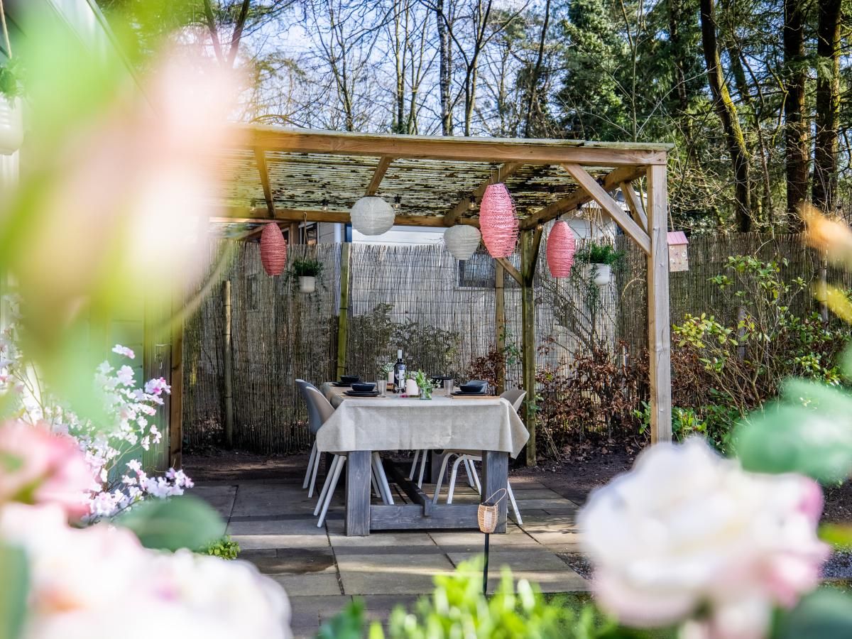 Verblijf 324117 - Chalet Veluwe - Boschalet Stijn