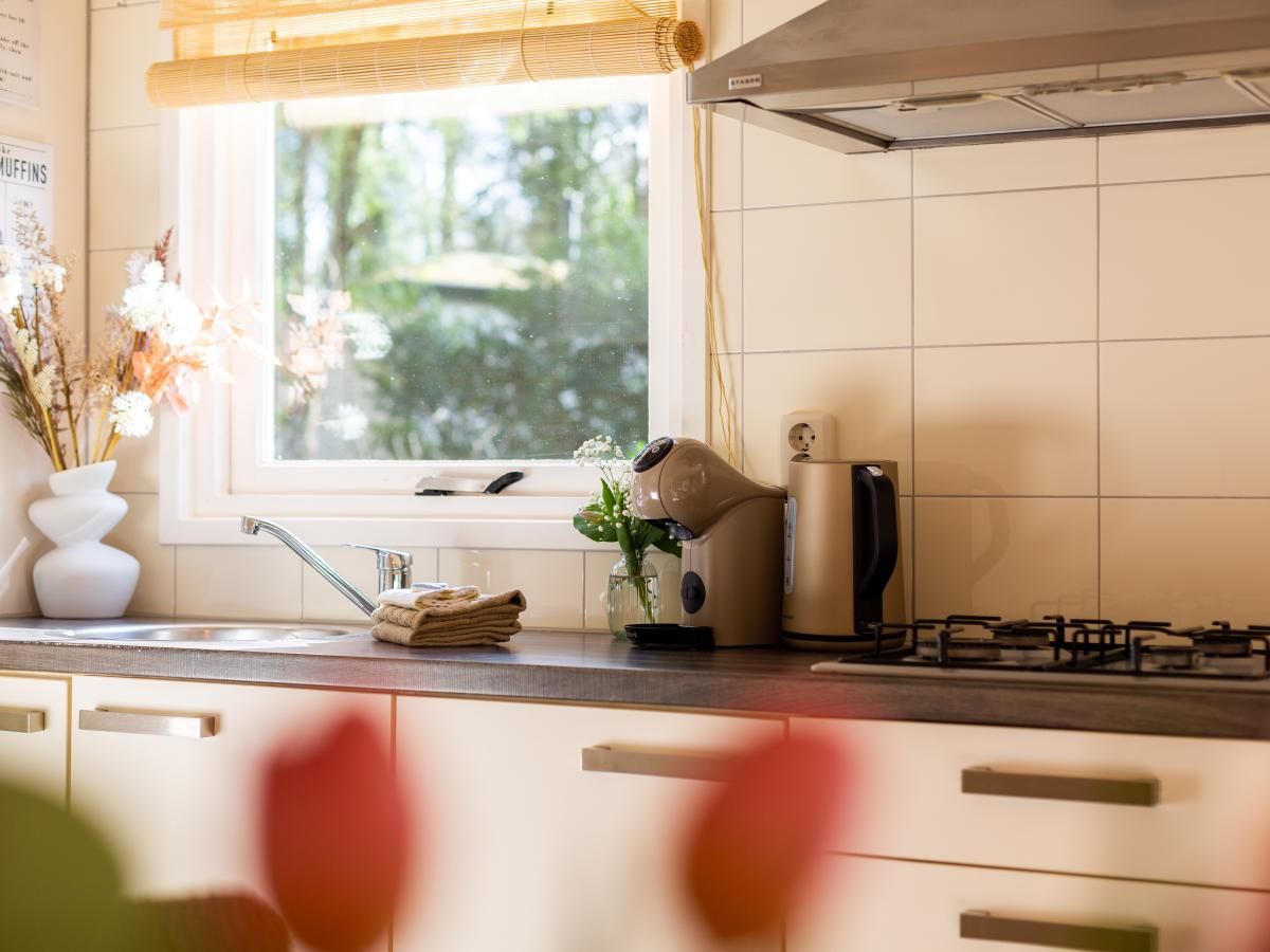 Verblijf 324117 - Chalet Veluwe - Boschalet Stijn