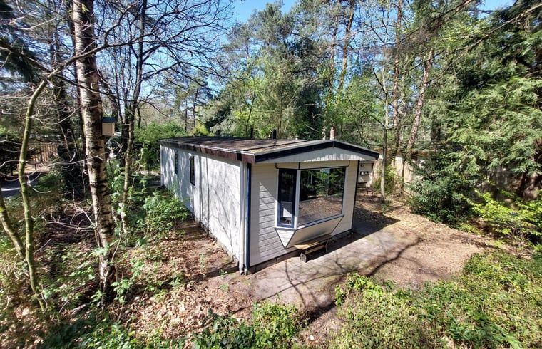 Cottage in Hattemerbroek, Veluwe vacation home in wooded area of Gelderland.