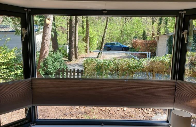 View from Cottage in Hattemerbroek, Veluwe vacation rental on green surroundings.