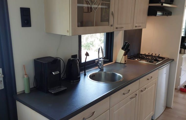 Dining table with flowers in Cottage in Hattemerbroek, Veluwe vacation home for atmospheric dinners.
