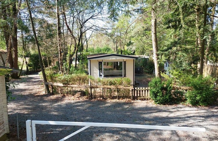 Front view of Cottage in Hattemerbroek, Veluwe vacation rental in wooded area.