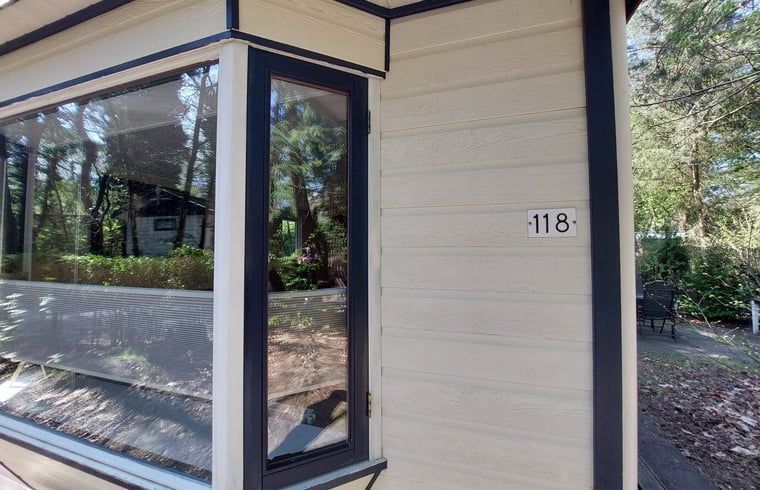 Scottish highlander in Veluwe nature near cottage in Hattemerbroek, Gelderland.
