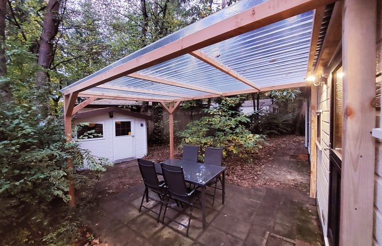 Beautiful moors on the Veluwe near Cottage in Hattemerbroek, vacation home in Gelderland.