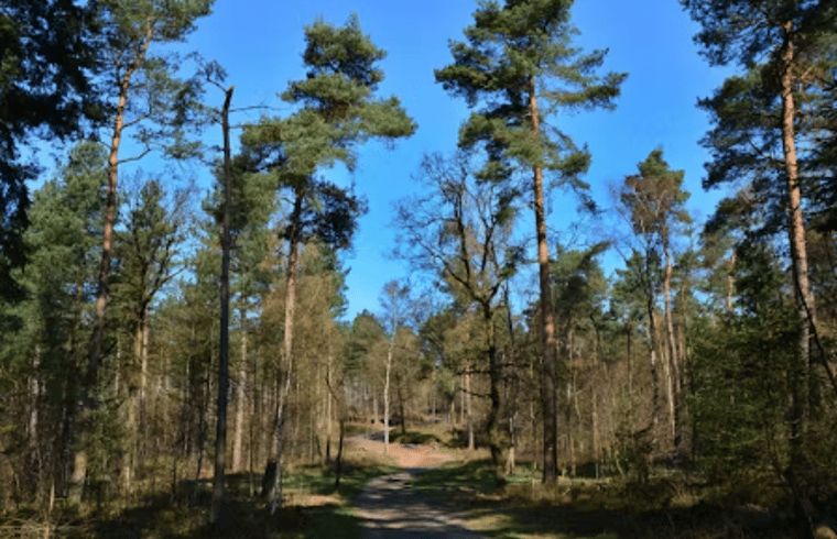 Guest house 324129 - Holiday property Veluwe - Huisje in Hattemerbroek