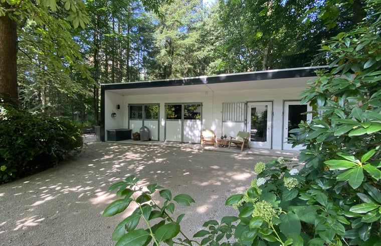 Cottage in Hattem, vacation home in the Veluwe surrounded by greenery in Gelderland.