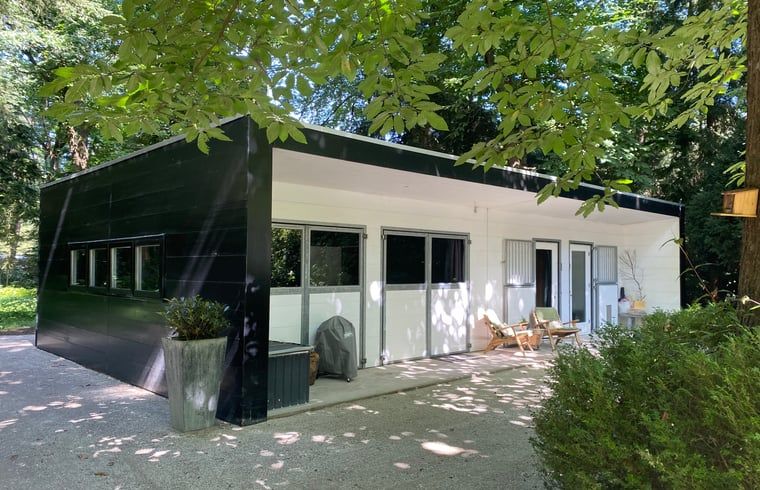 Cozy terrace at Cottage in Hattem, vacation accommodation in the Veluwe, Gelderland.