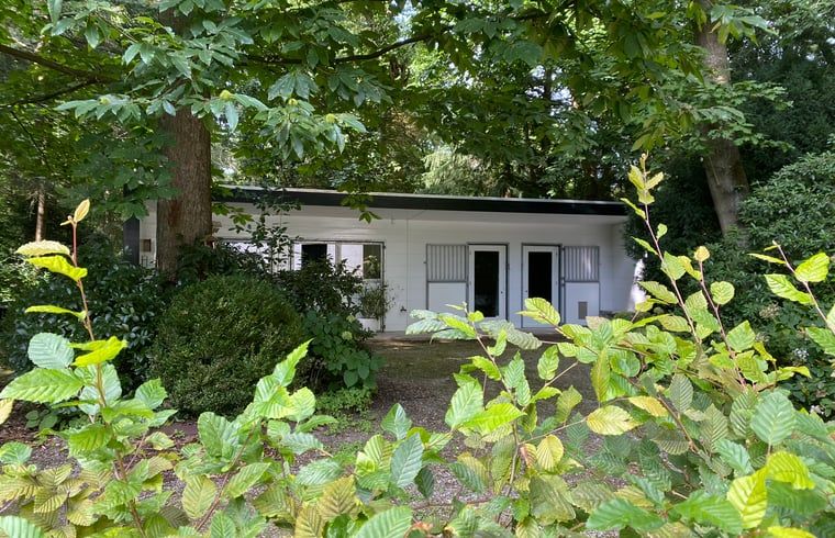 Natural surroundings of Cottage in Hattem, vacation home in the Veluwe, Gelderland.