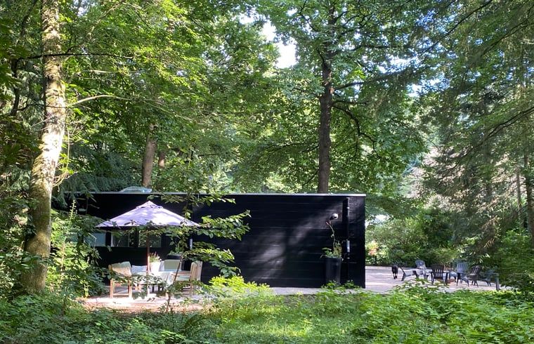 Sunny terrace of Cottage in Hattem, vacation home in Veluwe, Gelderland.