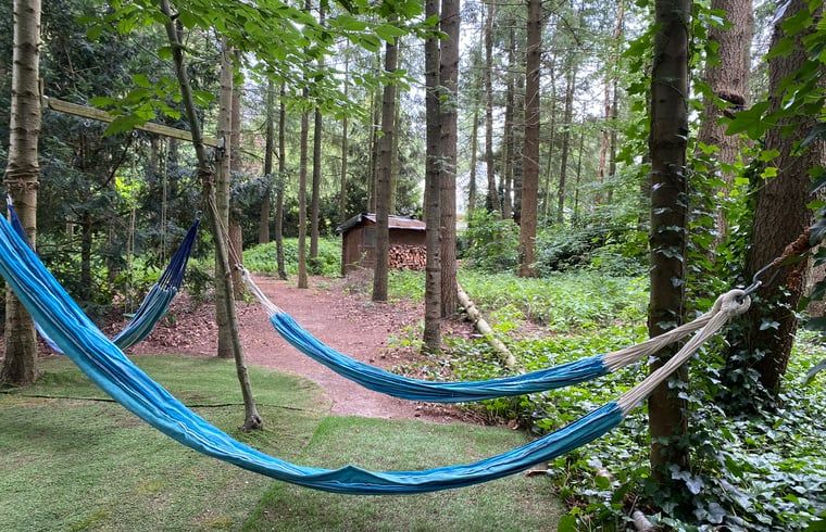 Hammocks in the garden of Huisje in Hattem, vacation accommodation in the Veluwe, Gelderland.