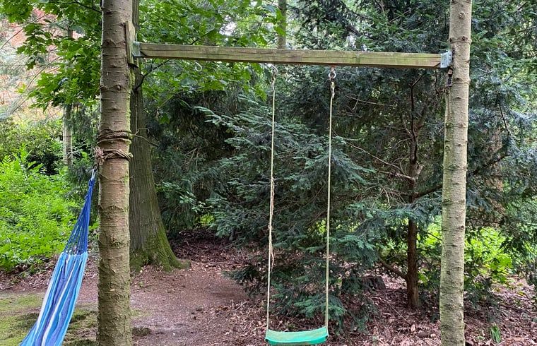 Swing in the garden of Huisje in Hattem, vacation home in the Veluwe, Gelderland.