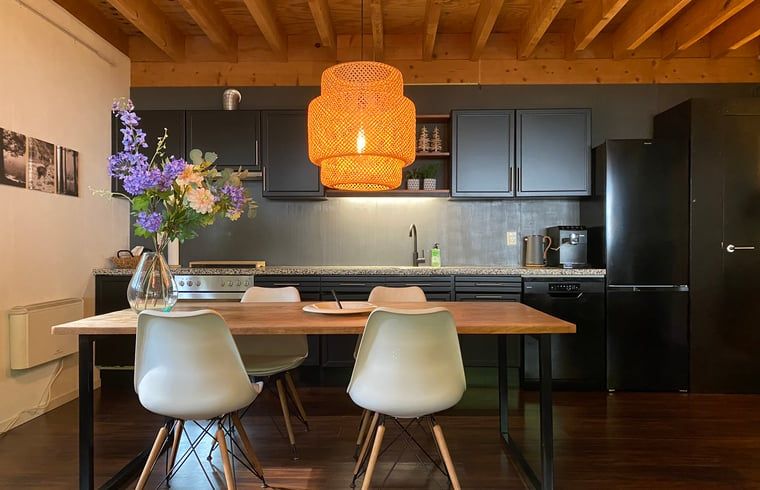 Modern kitchen in Cottage in Hattem, vacation accommodation in Veluwe, Gelderland.