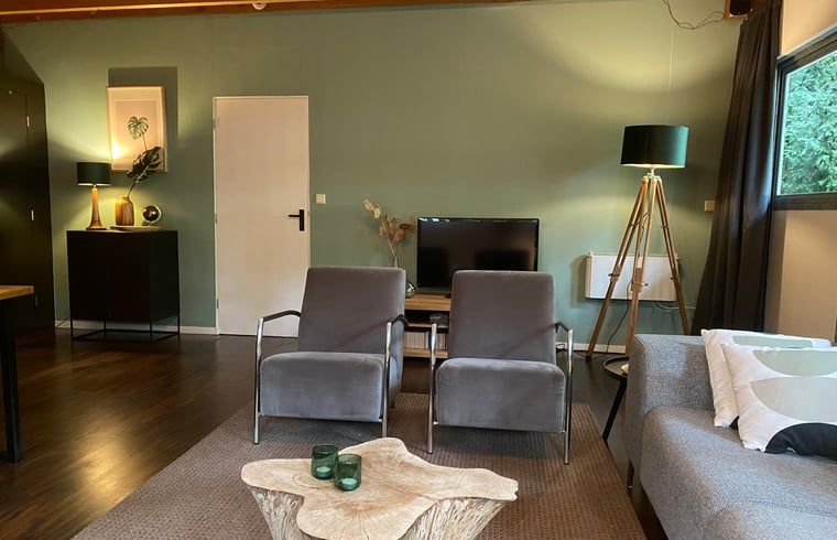 Stylish living room in Cottage in Hattem, vacation accommodation in Veluwe, Gelderland.