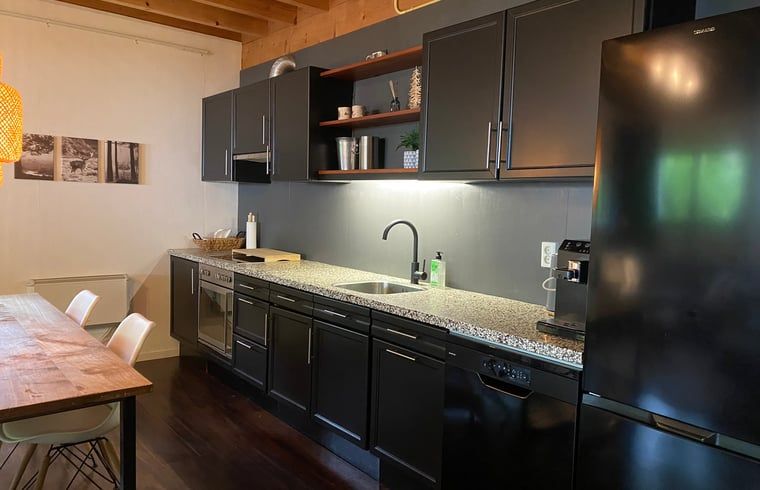 Modern kitchen appliances in Cottage in Hattem, vacation home in Veluwe, Gelderland.