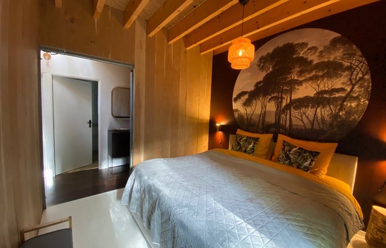 Modern bedroom in Cottage in Hattem, vacation accommodation in Veluwe, Gelderland.