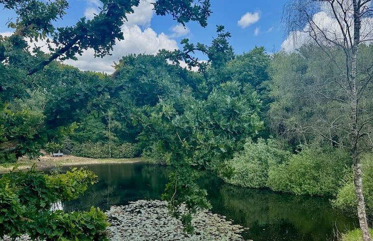 Schattige Umgebung um Ferienhaus in Hattem mit Blick auf einen Teich, Veluwe, Gelderland.