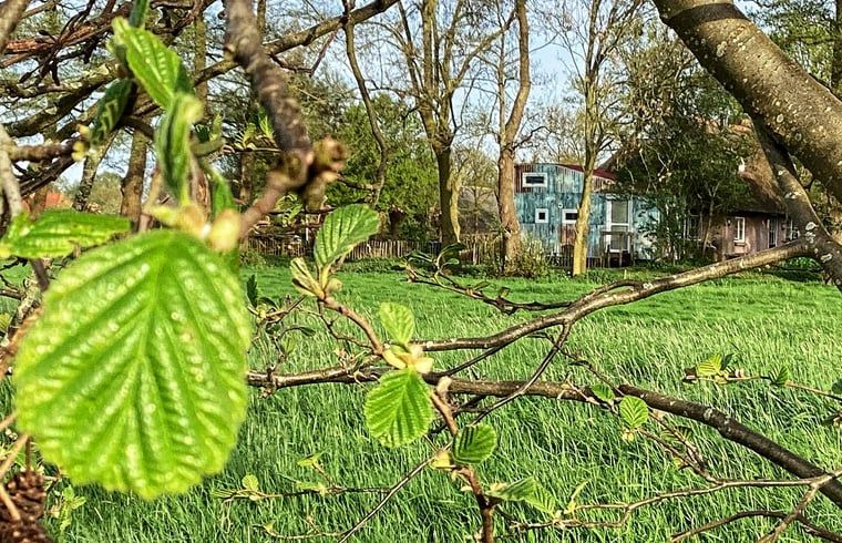 Natuurrijke omgeving van Vakantiehuis in Doornspijk, Veluwe, Gelderland met groene velden.