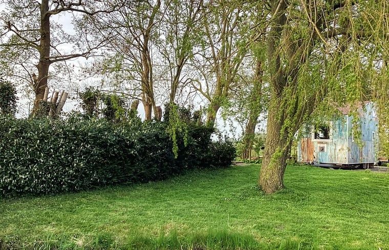 Lommerrijke tuin van Vakantiehuis in Doornspijk, Veluwe, Gelderland voor ontspanning.