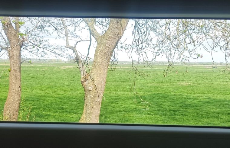 Uitzicht op groene velden vanuit Vakantiehuis in Doornspijk, Veluwe, Gelderland.