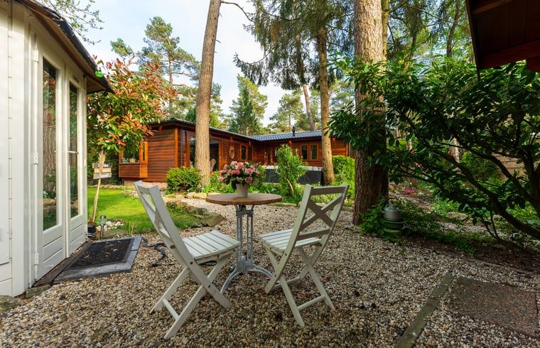 Verblijf 324307 - Vakantiewoning Veluwe - Vakantiehuis in Doornspijk