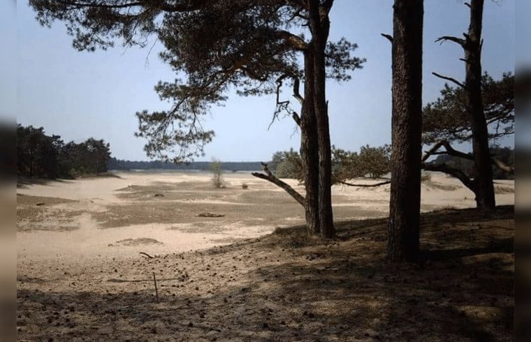 Verblijf 324307 - Vakantiewoning Veluwe - Vakantiehuis in Doornspijk