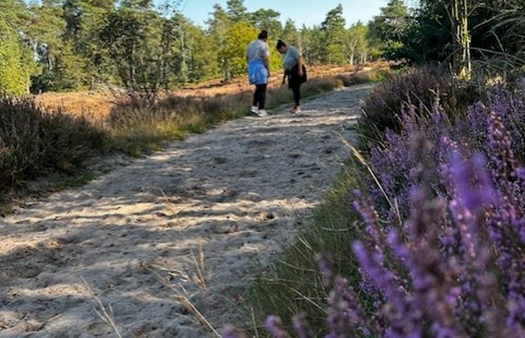 Verblijf 324307 - Vakantiewoning Veluwe - Vakantiehuis in Doornspijk
