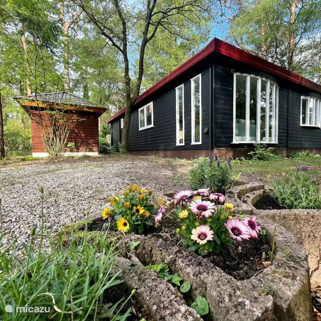 Verblijf 324333 - Chalet Veluwe - Boshuis op de Veluwe naast zwembad